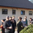 Maibaum 2026