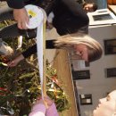 Maibaum 2026