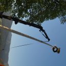 Maibaum 2026