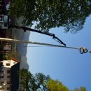 Maibaum 2026